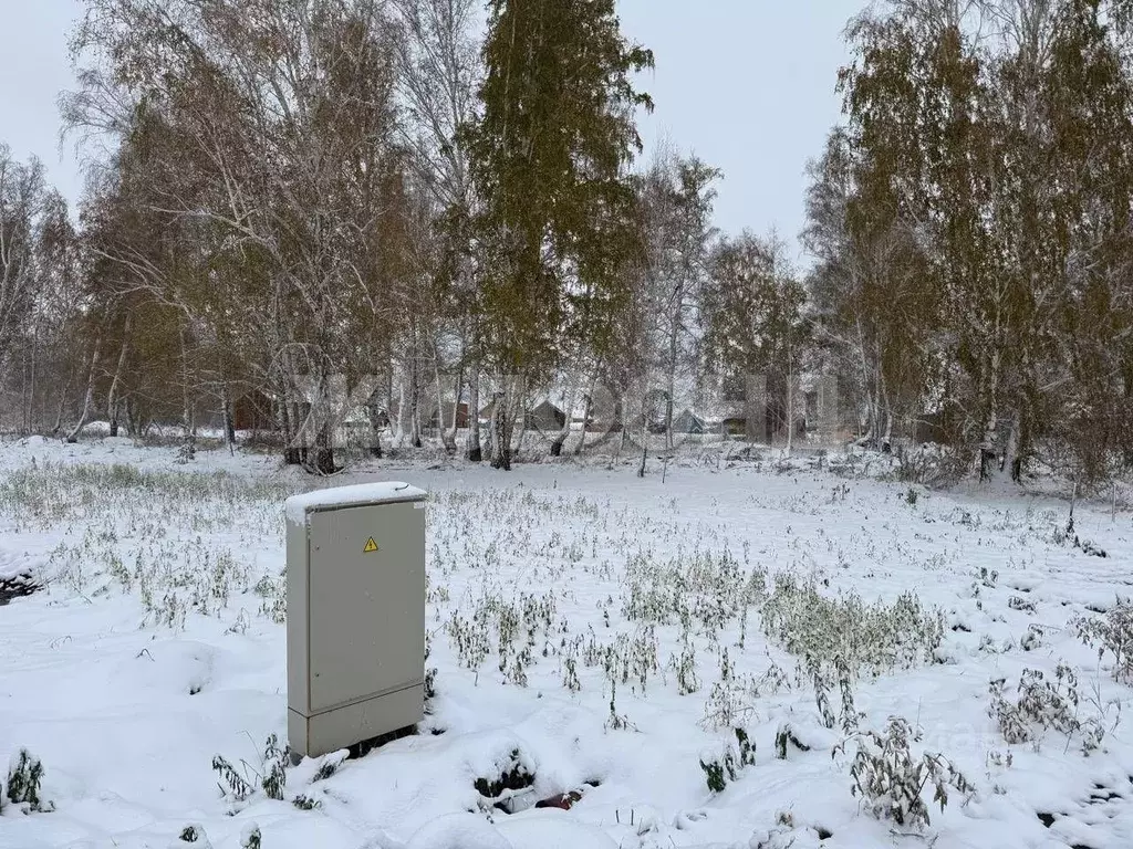 Участок в Новосибирская область, Мошковский район, пос. Октябрьский ... - Фото 1
