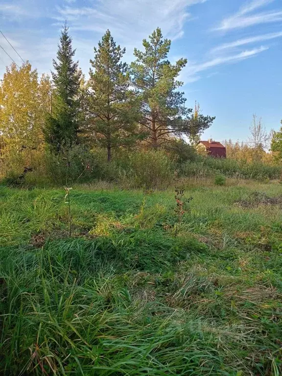 Участок в Новгородская область, Новгородский район, Панковское ... - Фото 1