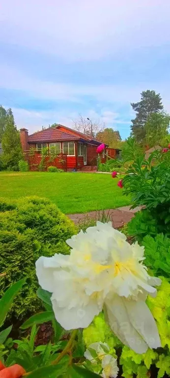 Дом в Московская область, Пушкино проезд 1-й Лермонтовский, 16 (96 м) - Фото 1