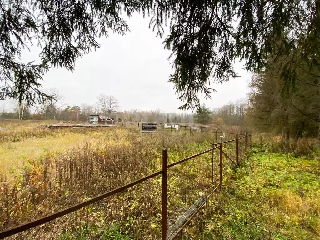 Участок в Ярославская область, Рыбинский муниципальный округ, село ... - Фото 2