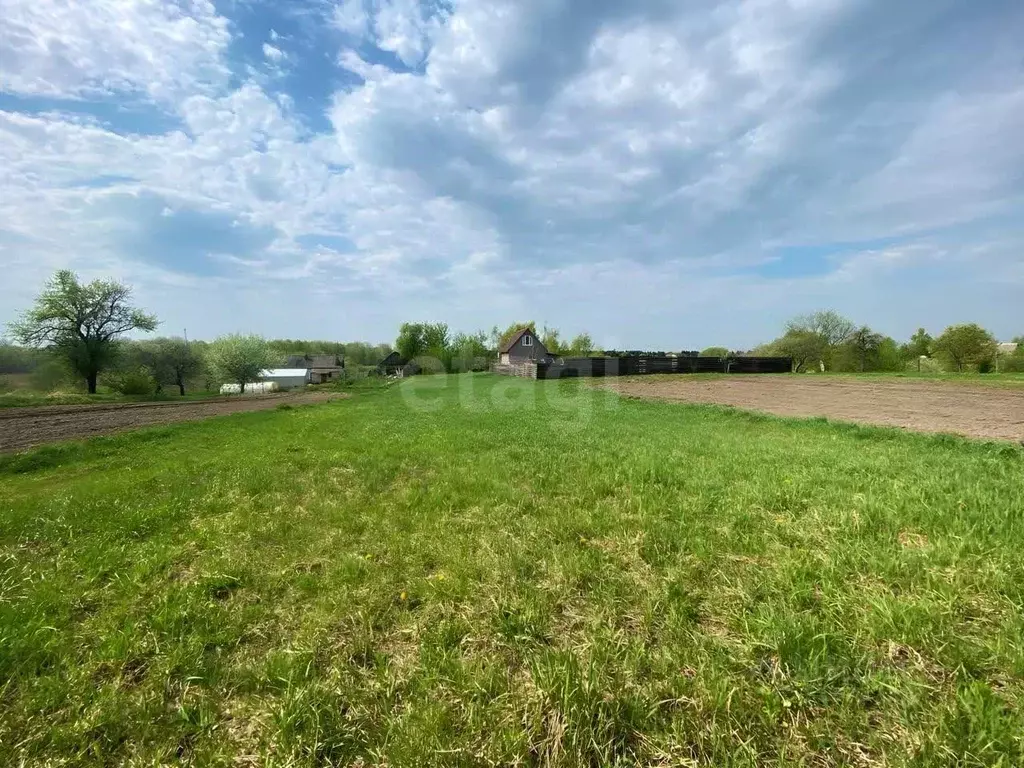 Участок в Брянская область, Жирятинское с/пос, с. Страшевичи  (24.5 ... - Фото 1