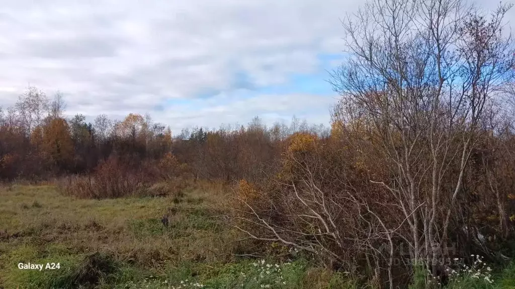 Участок в Ленинградская область, Всеволожский район, Лесколовское ... - Фото 1