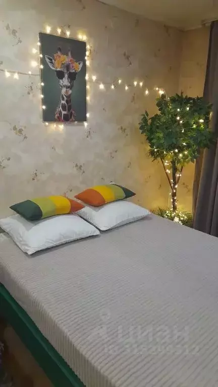 1-к кв. Алтай, Горно-Алтайск Коммунистический просп., 8 (30.0 м) - Фото 2