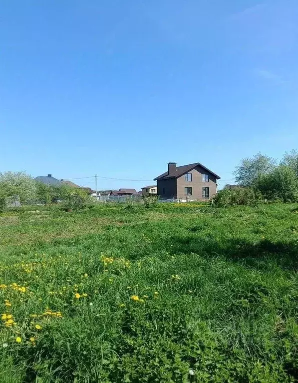Участок в Костромская область, Красносельский муниципальный округ, ... - Фото 2