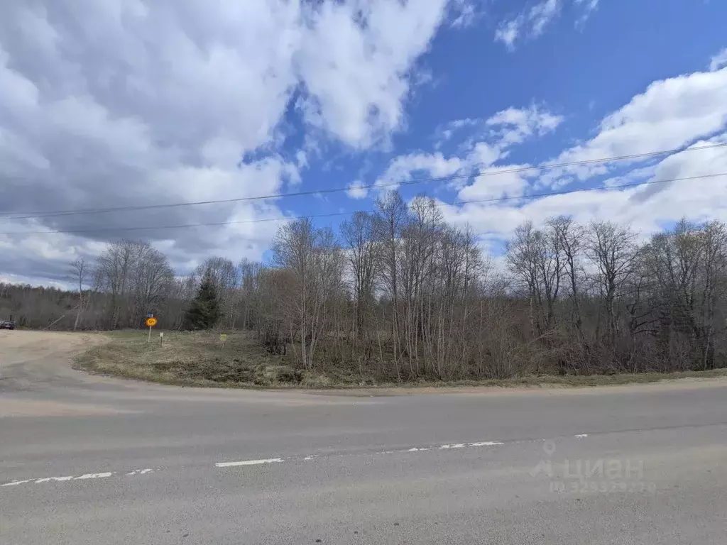 Участок в Новгородская область, Демянский муниципальный округ, с. ... - Фото 2