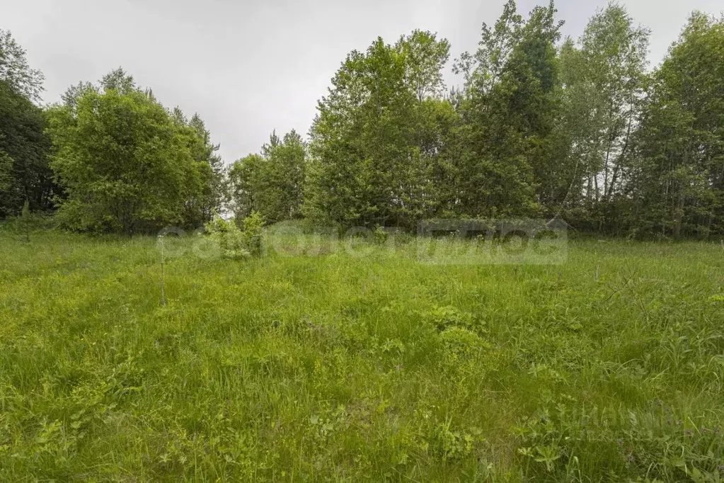 Участок в Московская область, Наро-Фоминский городской округ, д. ... - Фото 1