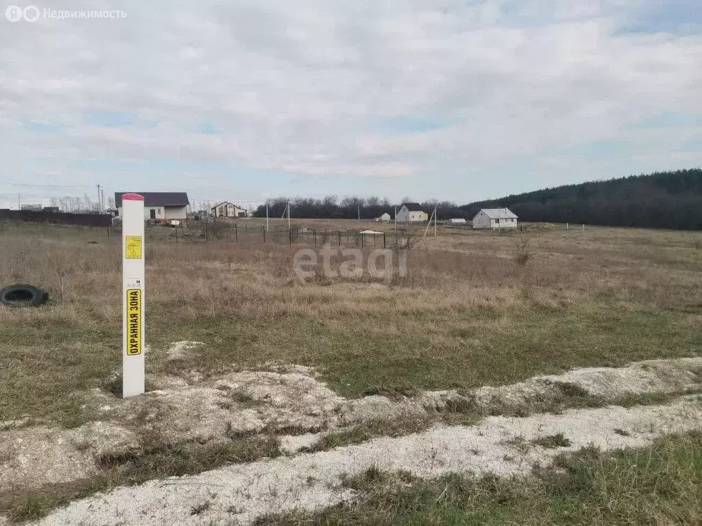 Участок в Яковлевский городской округ, село Гостищево (15.3 м) - Фото 1