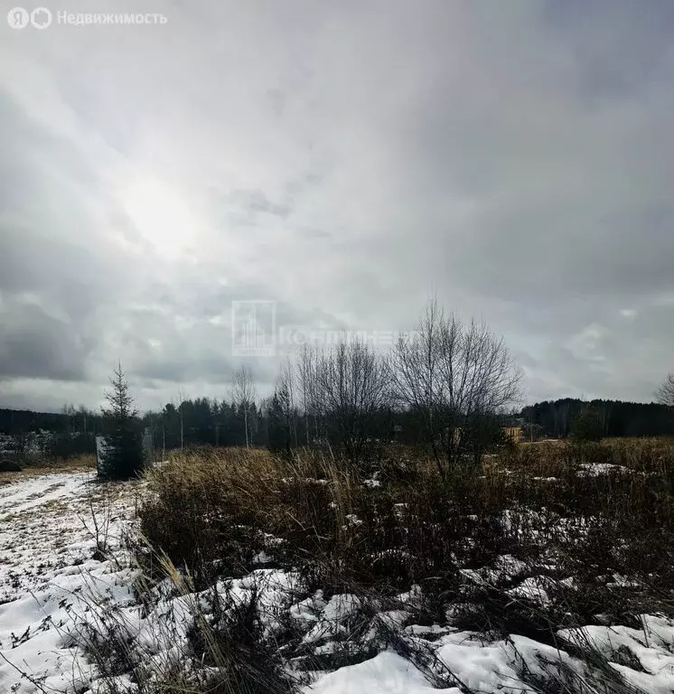 Участок в городской округ Владимир, село Спасское, Раздольная улица ... - Фото 1