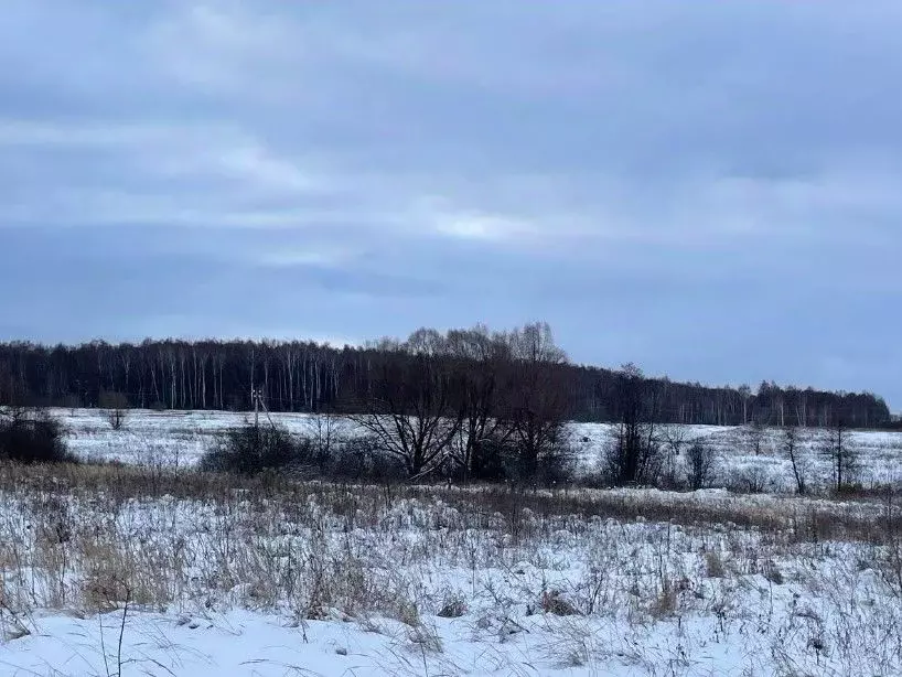 Участок в Московская область, Серпухов городской округ, д. Рыжиково  ... - Фото 0