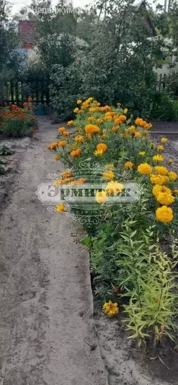 Дом в Курган, СНТ Кургансельмаш-2 (30.7 м) - Фото 1