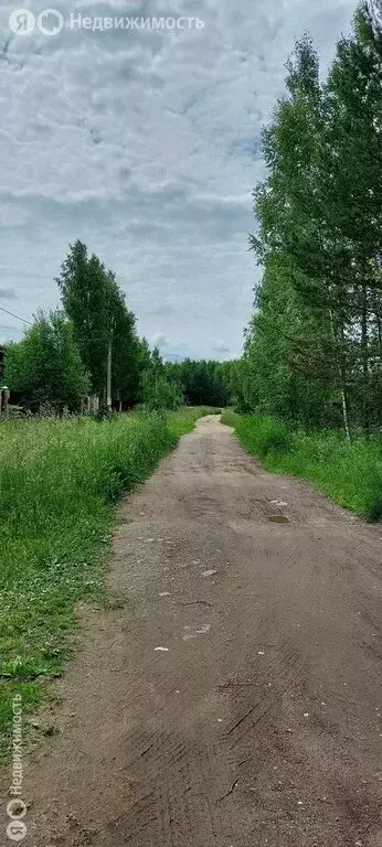 Участок в Тверская область, Старицкий муниципальный округ, деревня ... - Фото 1