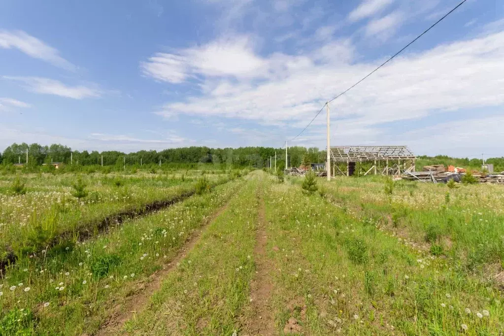 Участок в Тюменская область, Тюменский муниципальный округ, с. Кулига ... - Фото 1