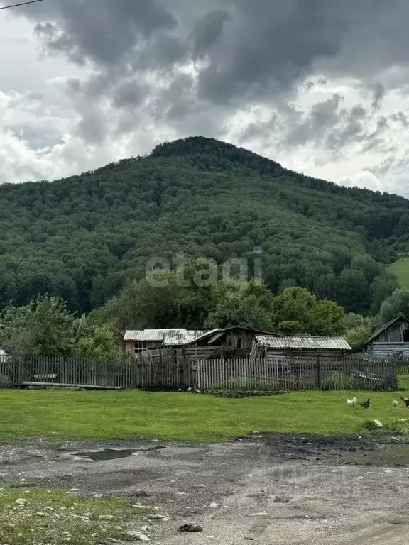 Дом в Алтайский край, Солонешенский район, с. Топольное Заречная ул., ... - Фото 1
