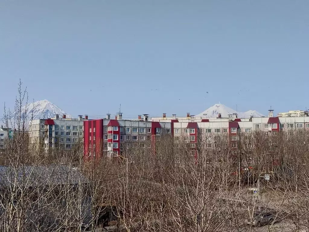 2-к кв. Камчатский край, Петропавловск-Камчатский ул. Фролова, 4 (54.0 ... - Фото 1