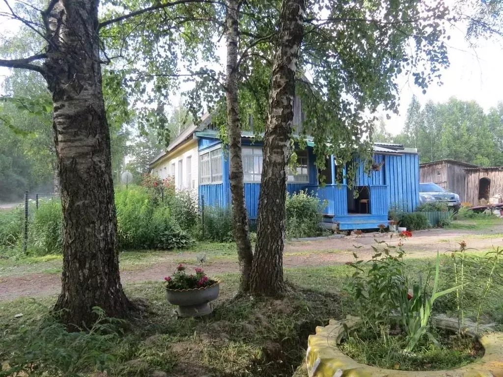 Дом в Тверская область, Оленинский район, д. Бобровка  (60 м) - Фото 1