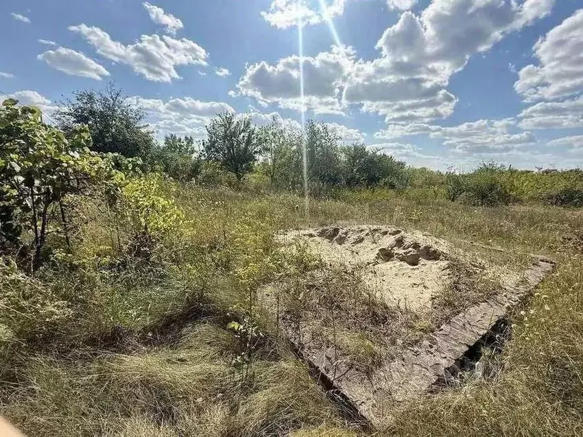 Участок в Белгородская область, Корочанский муниципальный округ, ... - Фото 2