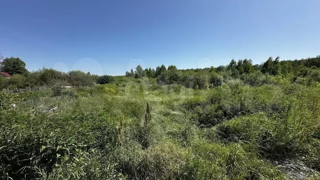 Участок 12 сот. (СНТ, ДНП) - Фото 1
