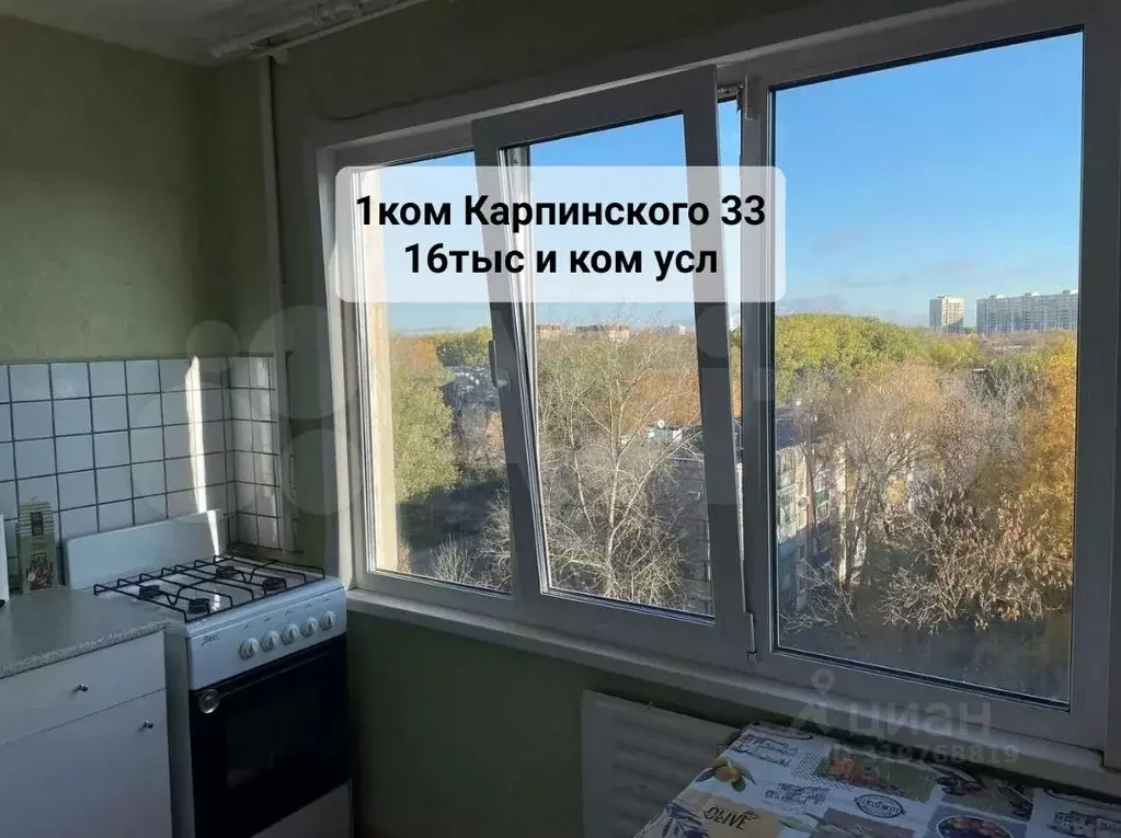 1-к кв. Пензенская область, Пенза ул. Карпинского, 33 (33.0 м) - Фото 0