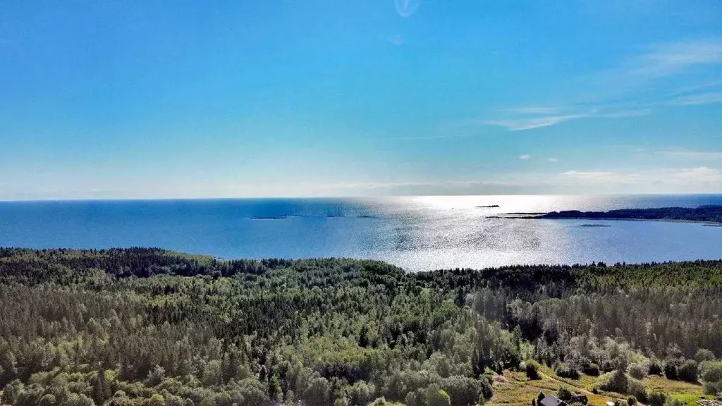 Участок в Карелия, Питкярантский муниципальный округ, д. Карку ул. ... - Фото 1