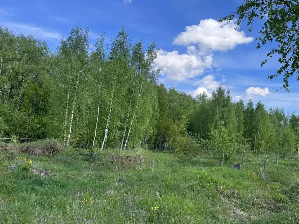 Участок в Московская область, Химки Клязьма-Старбеево мкр, Вашутино ... - Фото 0