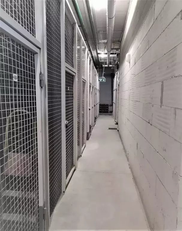 Гараж в Санкт-Петербург Петергофское ш., 84к19 (3 м) - Фото 2