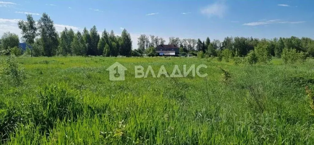 участок в нижегородская область, нижний новгород городской округ, д. . - Фото 1