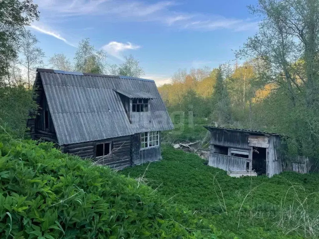 Участок в Ленинградская область, Волховский район, Кисельнинское ... - Фото 2