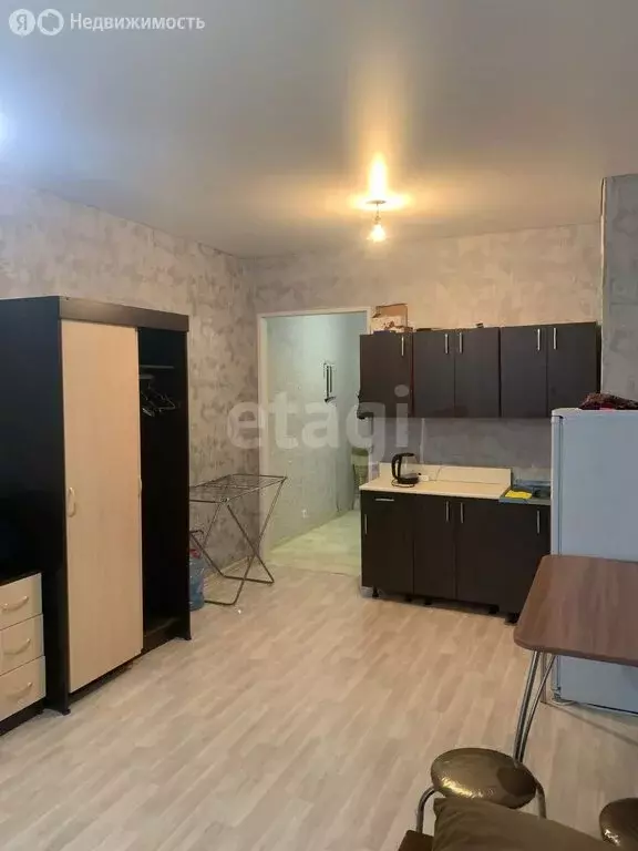 Квартира-студия: село Михайловка, Новоуфимская улица, 15 (29 м) - Фото 1