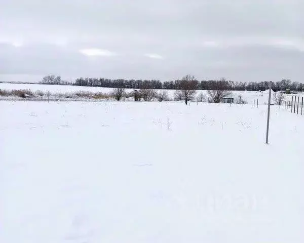 Участок в Ярославская область, Некрасовский муниципальный округ, д. ... - Фото 1