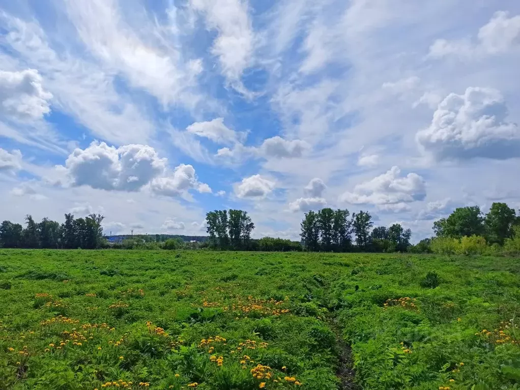 Участок в Кемеровская область, Кемеровский район, с. Елыкаево ... - Фото 0