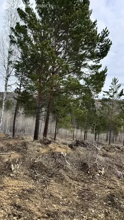 Участок в Иркутский муниципальный округ, деревня Новолисиха, посёлок ... - Фото 2