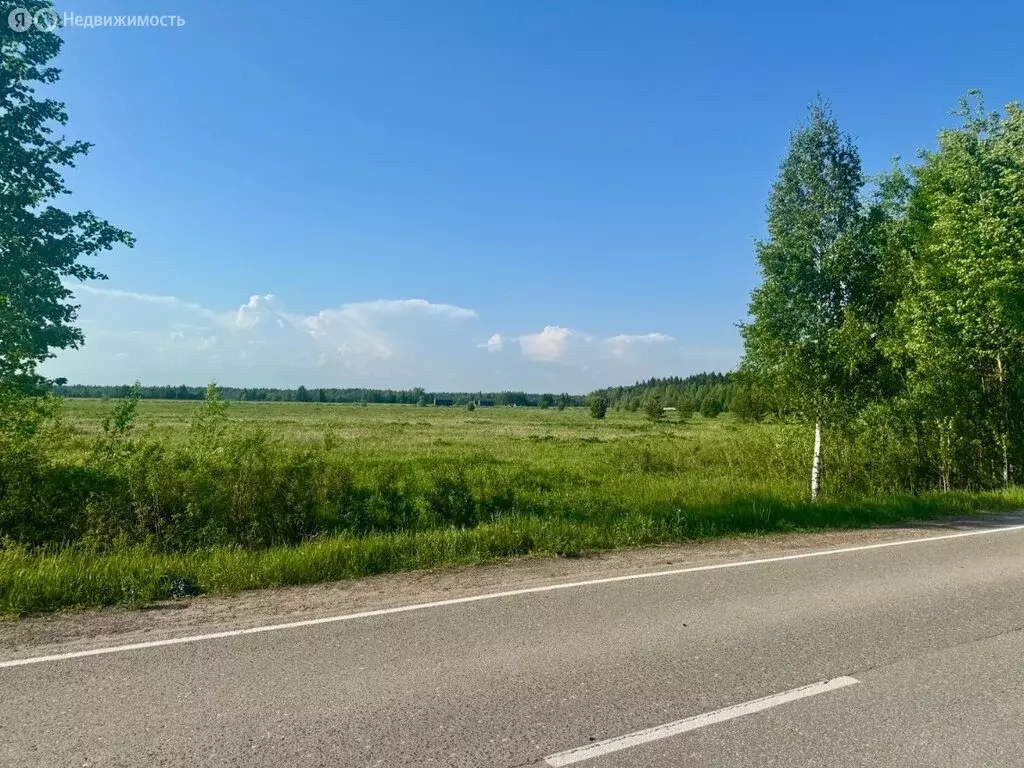 Участок в Пермский муниципальный округ, деревня Качка (12 м) - Фото 1