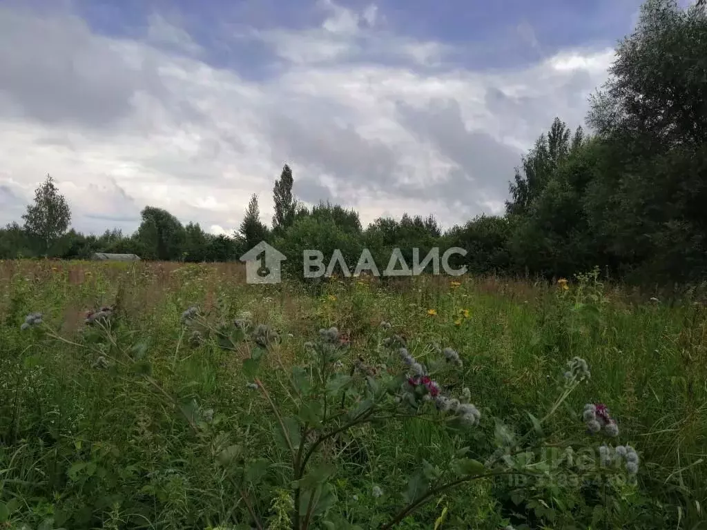 Участок в Пензенская область, Пенза Заря СНТ, 4 (15.0 сот.) - Фото 0