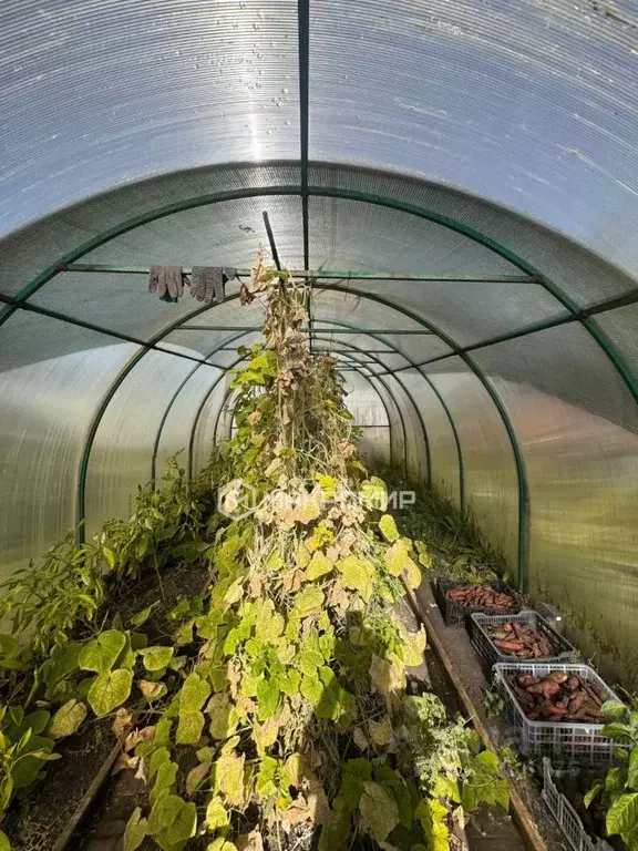 Участок в Челябинская область, Челябинск Станкостроитель-1 СНТ, ул. ... - Фото 1