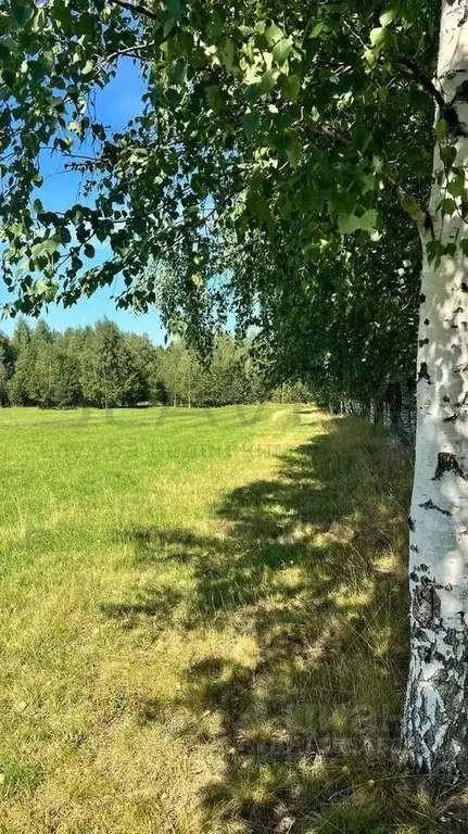 Участок в Костромская область, Красносельский район, Прискоковское ... - Фото 1