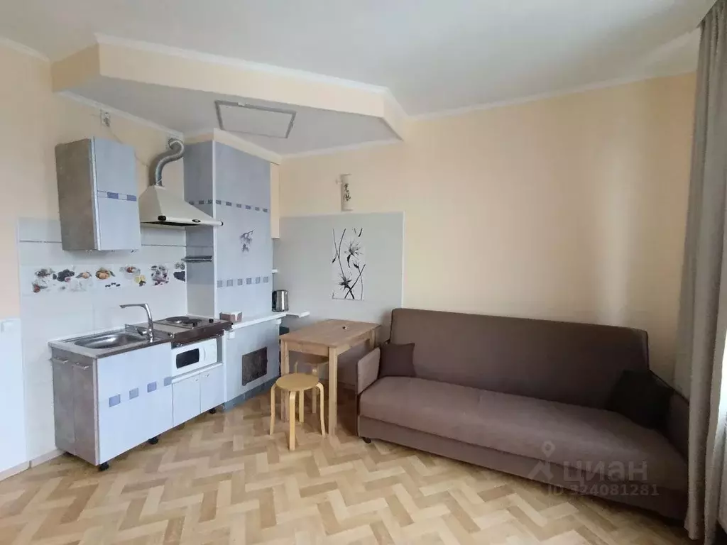 Студия Ленинградская область, Гатчинский муниципальный округ, д. Малое ... - Фото 1