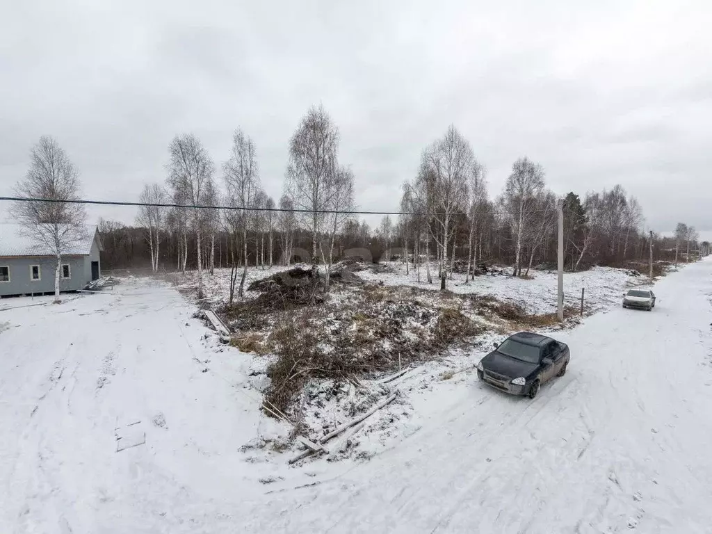 Участок в Тюменская область, Тюмень Ясень садовое товарищество, ул. ... - Фото 1