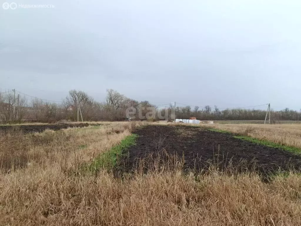 Участок в Рамонский район, Берёзовское сельское поселение, СНТ Техник ... - Фото 1