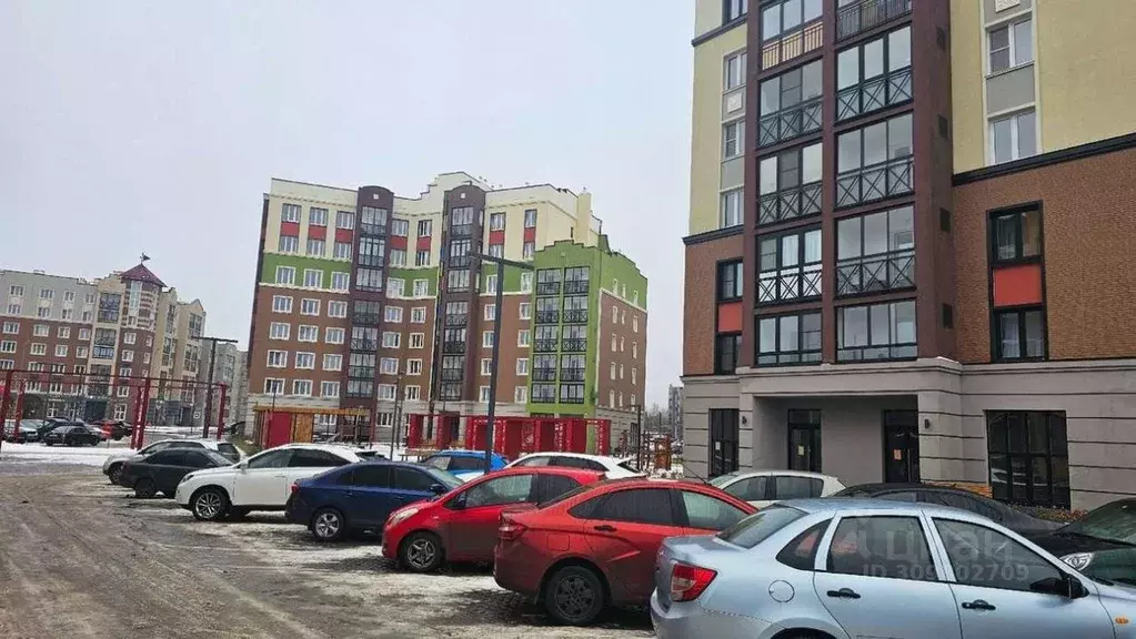Торговая площадь в Кировская область, Киров ул. Дмитрия Козулева, 2к1 ... - Фото 1
