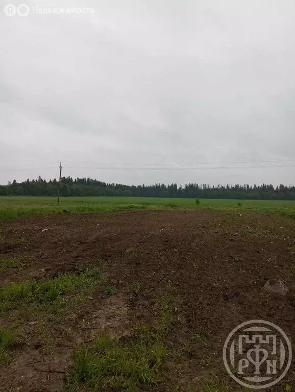 Участок в Ленинградская область, Гатчинский муниципальный округ, ... - Фото 0