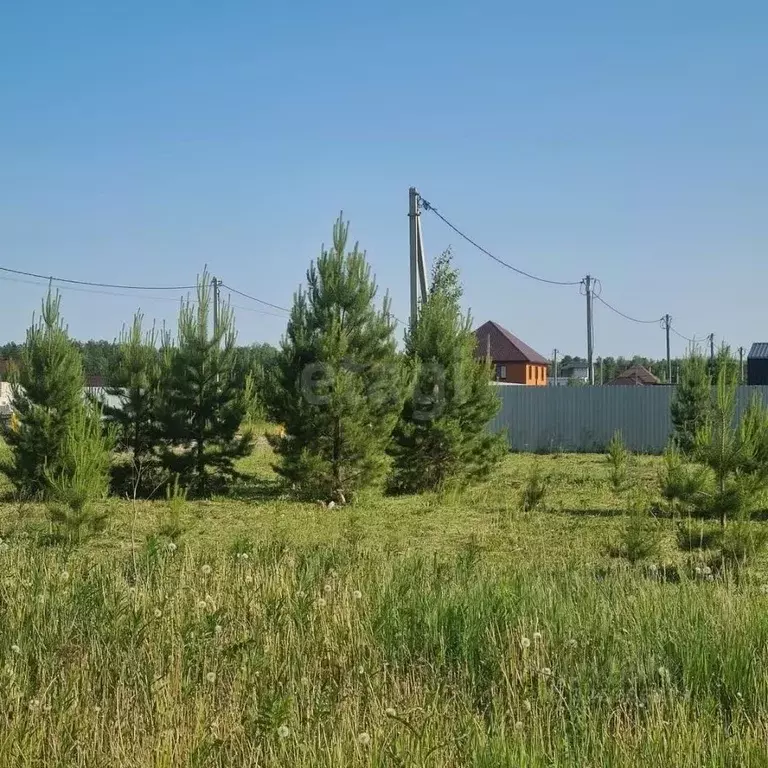 Участок в Тюменская область, Тюменский муниципальный округ, д. Ушакова ... - Фото 2