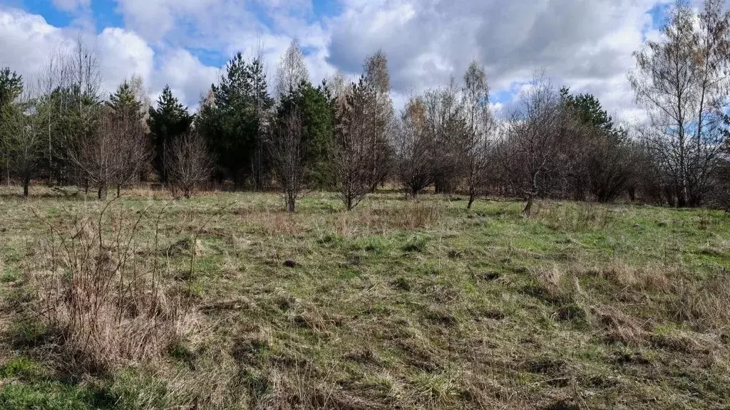 Участок в Ленинградская область, Приозерский район, Красноозерное ... - Фото 1
