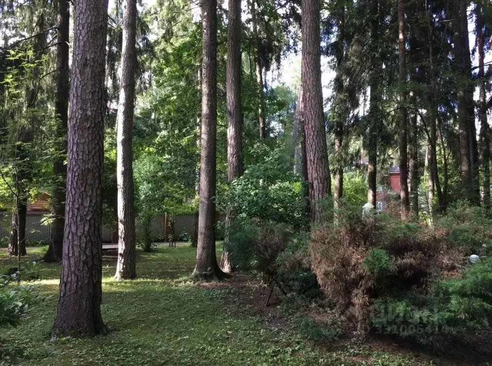 Участок в Московская область, Одинцовский городской округ, с. Юдино, ... - Фото 0