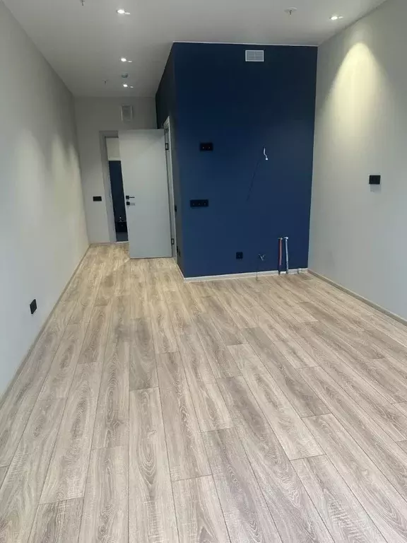 Студия Санкт-Петербург просп. Энергетиков, 8к2 (25.78 м) - Фото 1
