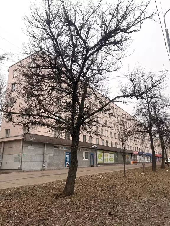 3-комнатная квартира: Санкт-Петербург, Краснопутиловская улица, 45 (41 ... - Фото 1