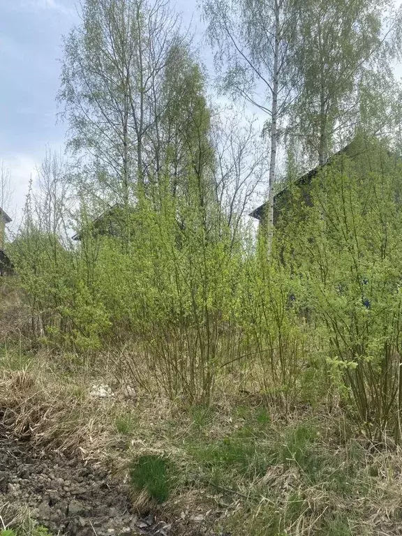 Участок, 6.4 сот., сельхоз (снт или днп) - Фото 0