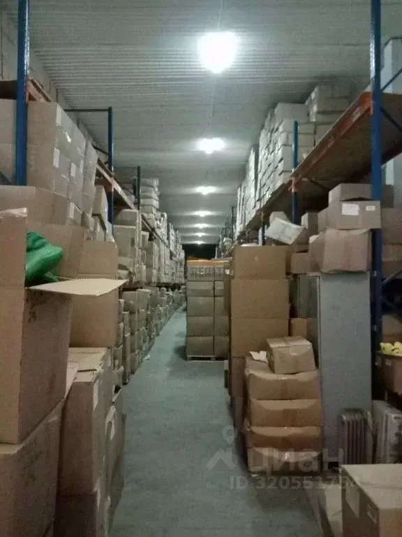 Склад в Московская область, Лосино-Петровский Лесная ул., 3 (2250 м) - Фото 2