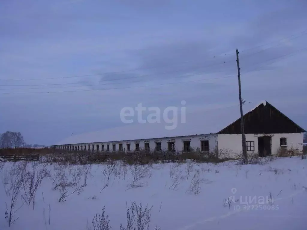 Склад в Курганская область, Шатровский муниципальный округ, д. Ударник ... - Фото 1