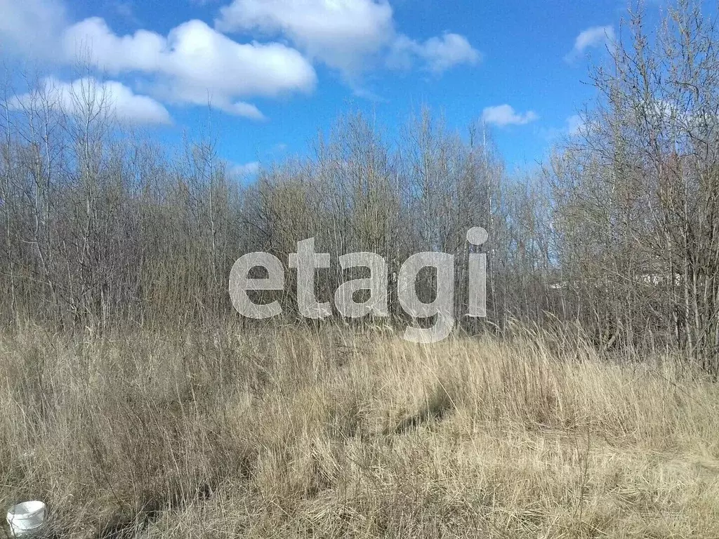Участок в Нижегородская область, Выкса ул. Васильевой (8.0 сот.) - Фото 0