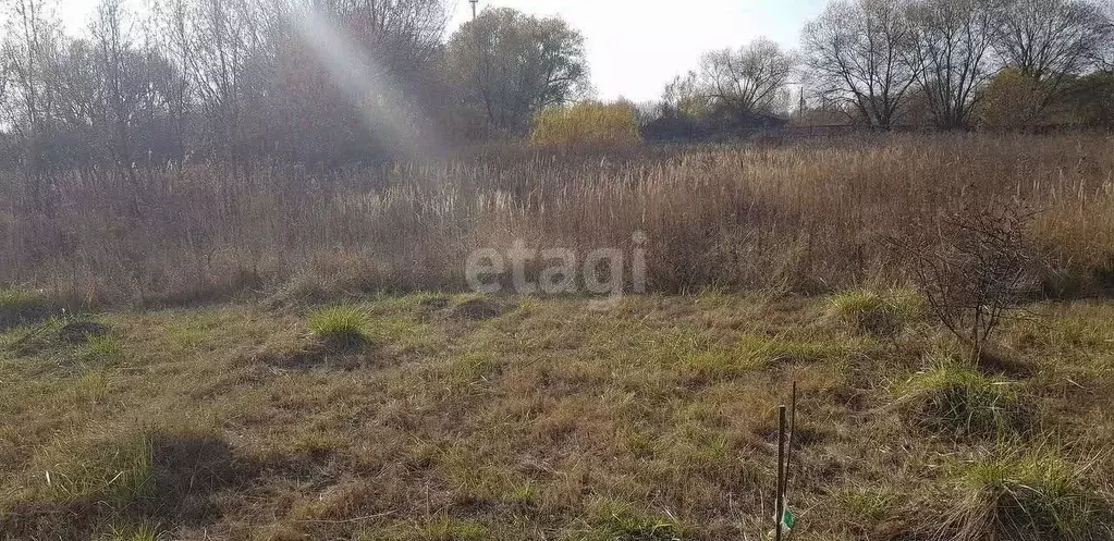 Участок в Воронежская область, с. Новая Усмань  (9.0 сот.) - Фото 1